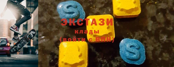 индика Каменка