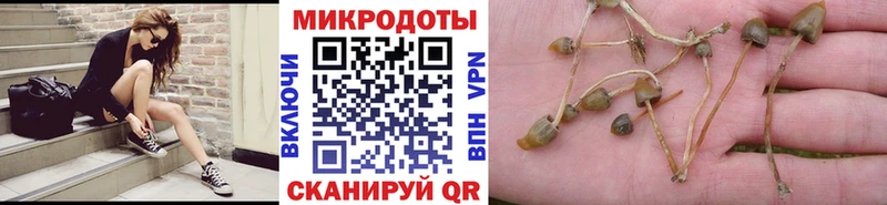 гидра маркетплейс  как найти закладки  Боготол  Псилоцибиновые грибы прущие грибы 